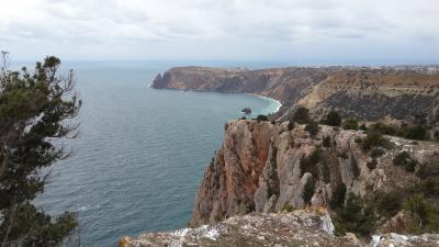 Прикрепленное изображение: 20190116_162939.jpg